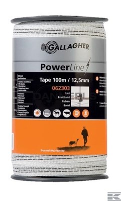  062303gal.jpg