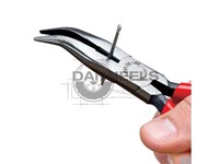  2521160.jpg