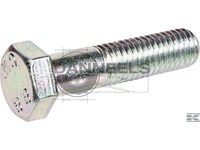  3013381.jpg