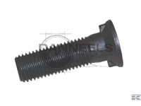  3015747.jpg