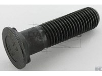  3015750.jpg