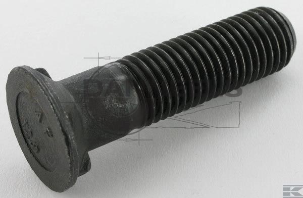  3015750.jpg