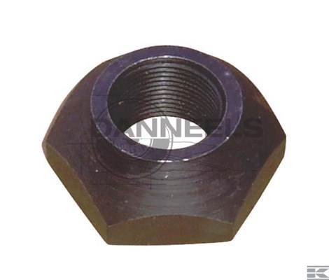  47245210.jpg