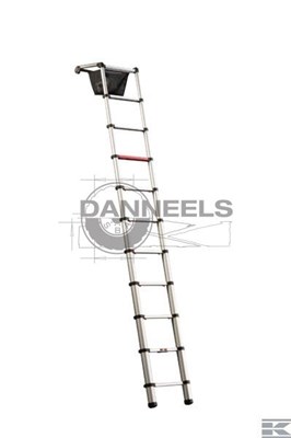  500338.jpg