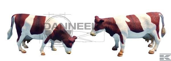  571877.jpg