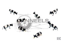  571878.jpg