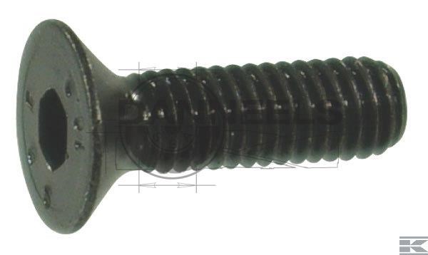  7991620b.jpg