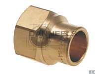  81551.jpg