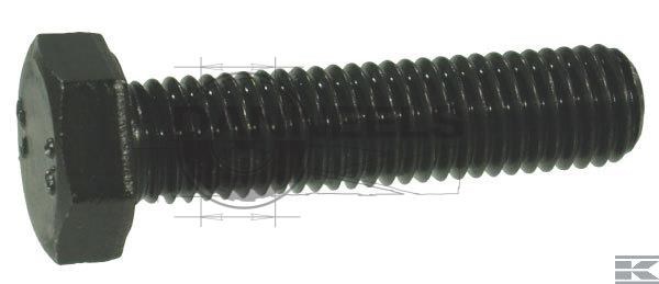 9331250b.jpg