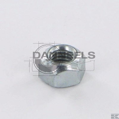  98081.jpg