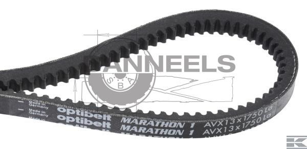  avx131750.jpg