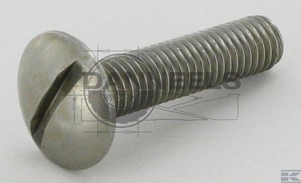  bu2250102.jpg