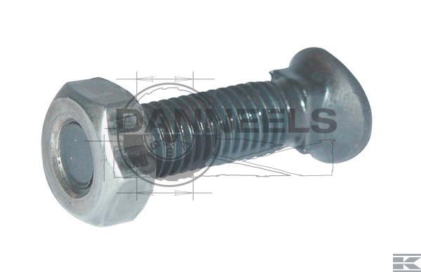  cp504z.jpg