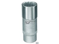  d19l_socket_2.jpg