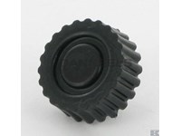  e260829.jpg