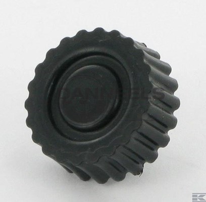  e260829.jpg