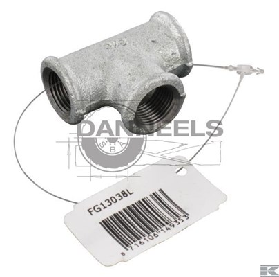  fg13038l.jpg