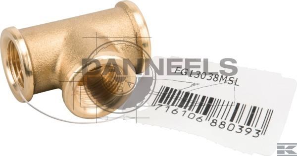  fg13038msl.jpg