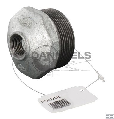  fg241212l.jpg