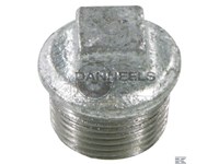 fg2901.jpg