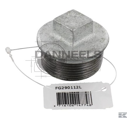  fg290112l.jpg