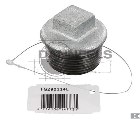  fg290114l.jpg