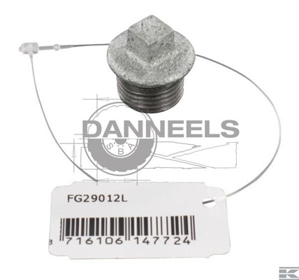  fg29012l.jpg