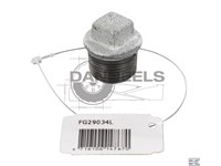  fg29034l.jpg