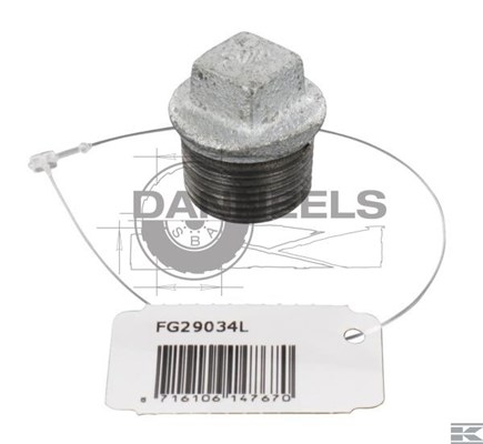  fg29034l.jpg