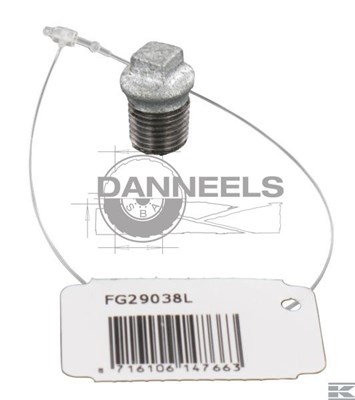  fg29038l.jpg