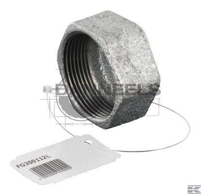  fg300112l.jpg