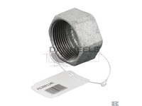  fg300114l.jpg