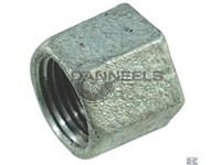  fg30012.jpg