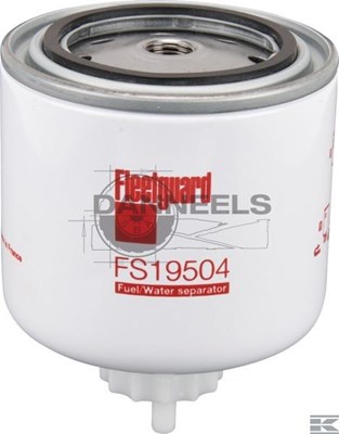  fs19504.jpg