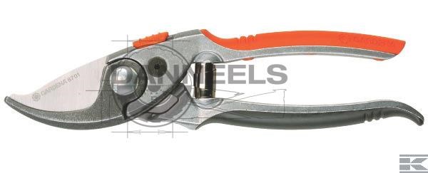  ga8701.jpg