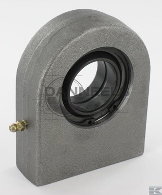  gf40doaina.jpg