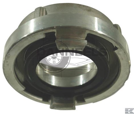  hd217035.jpg