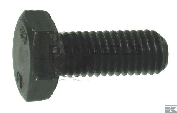  iso40171025b.jpg