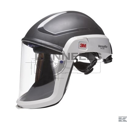  m306.jpg