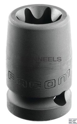  nstx18ps01.jpg