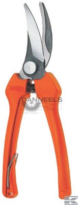  p123_shear.jpg