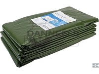  plg80100.jpg