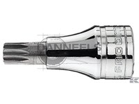  sv10bpf01.jpg