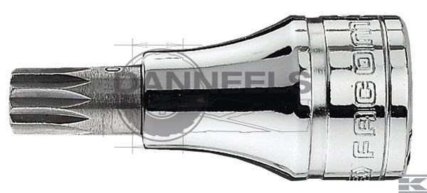  sv10bpf01.jpg
