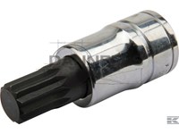  sv14b.jpg