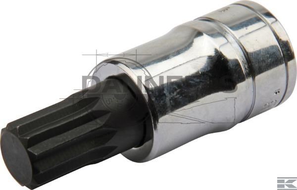  sv14b.jpg
