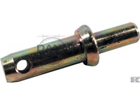  z428145.jpg